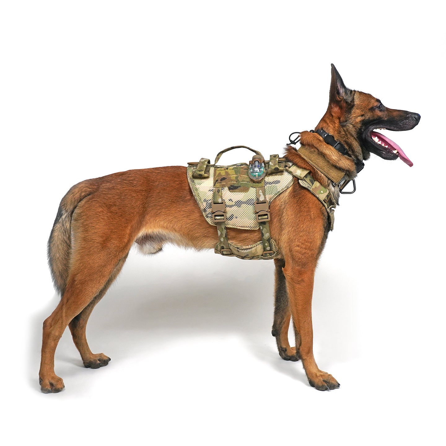 SouthPaw Harness