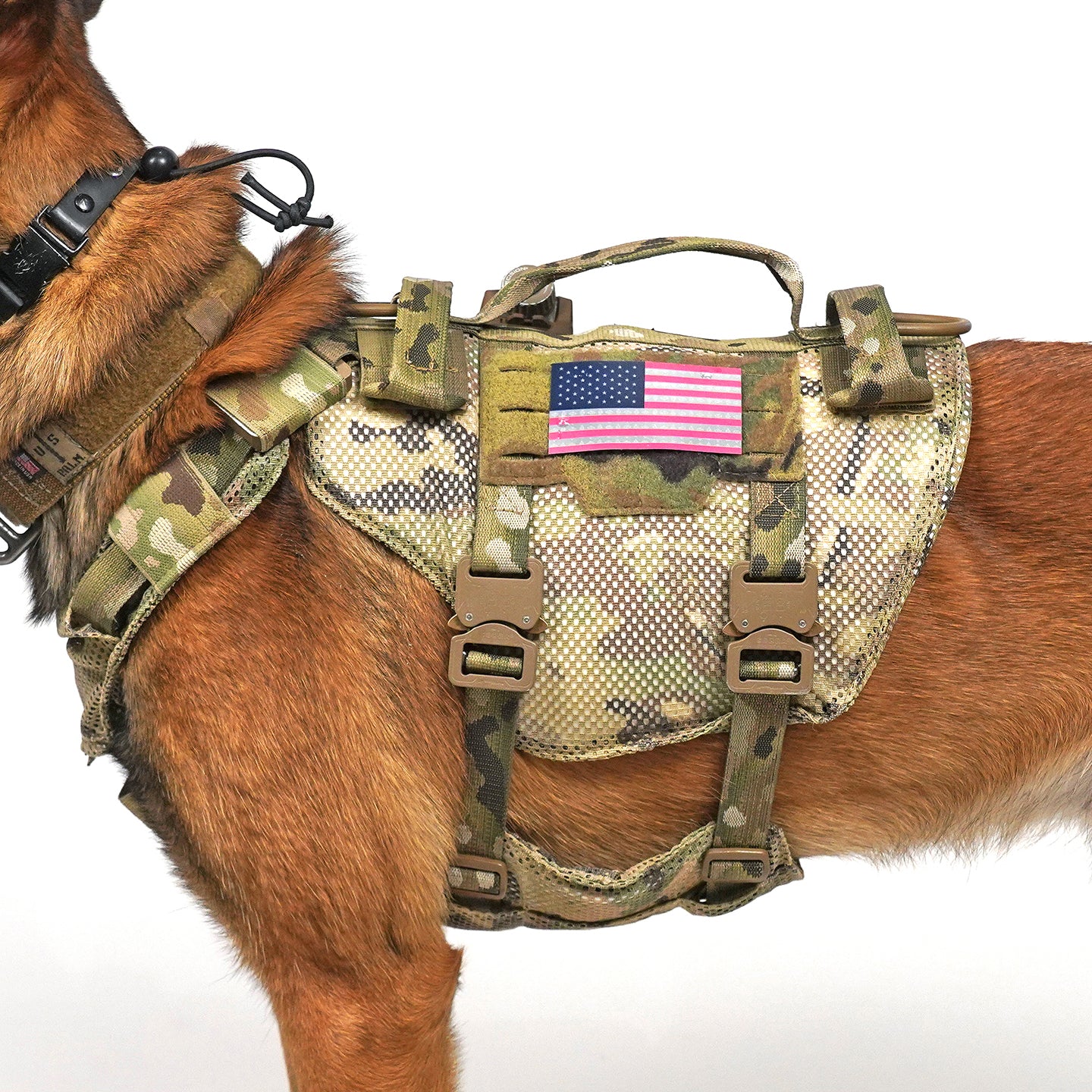 SouthPaw Harness